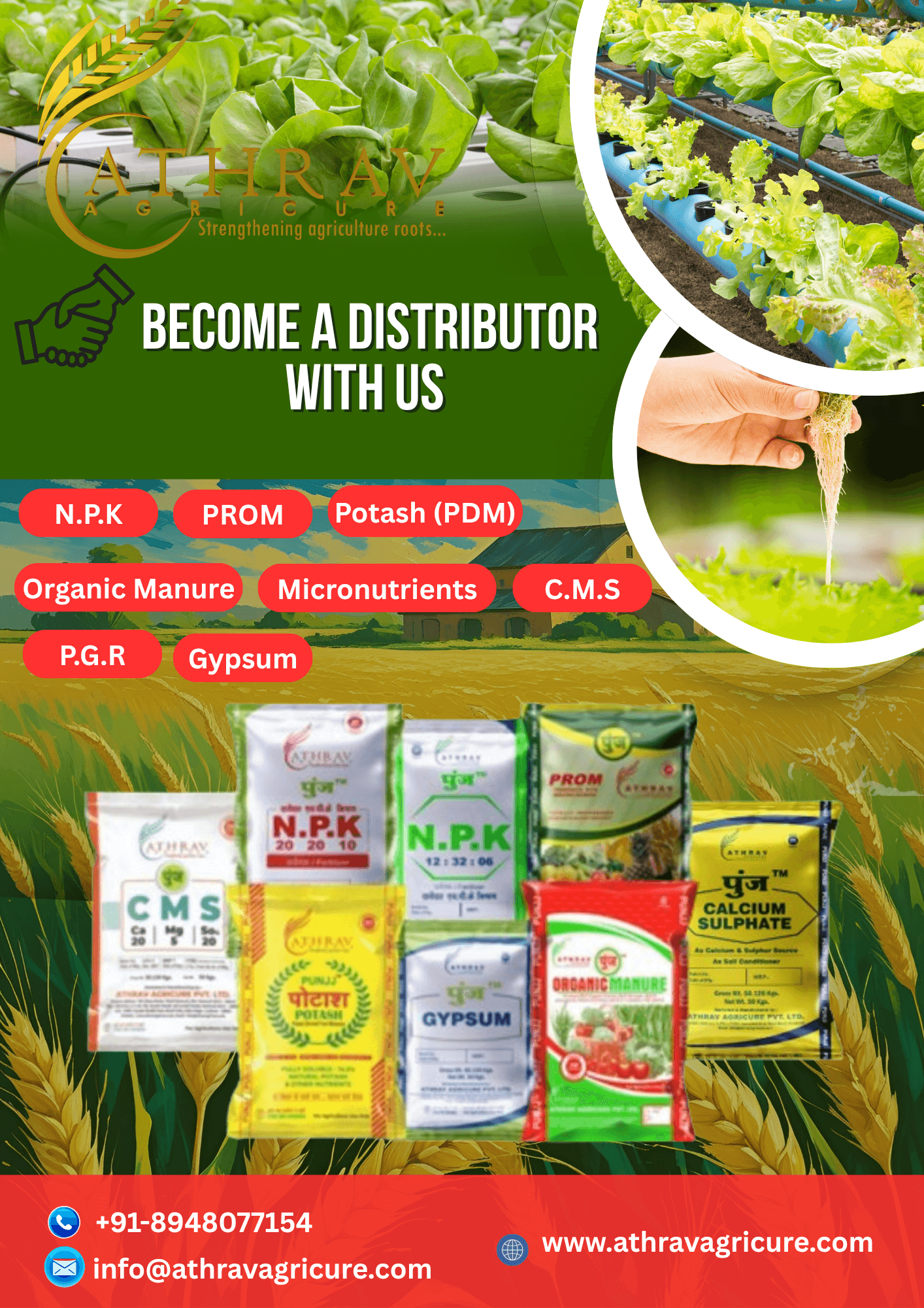 Distributor with green background 1