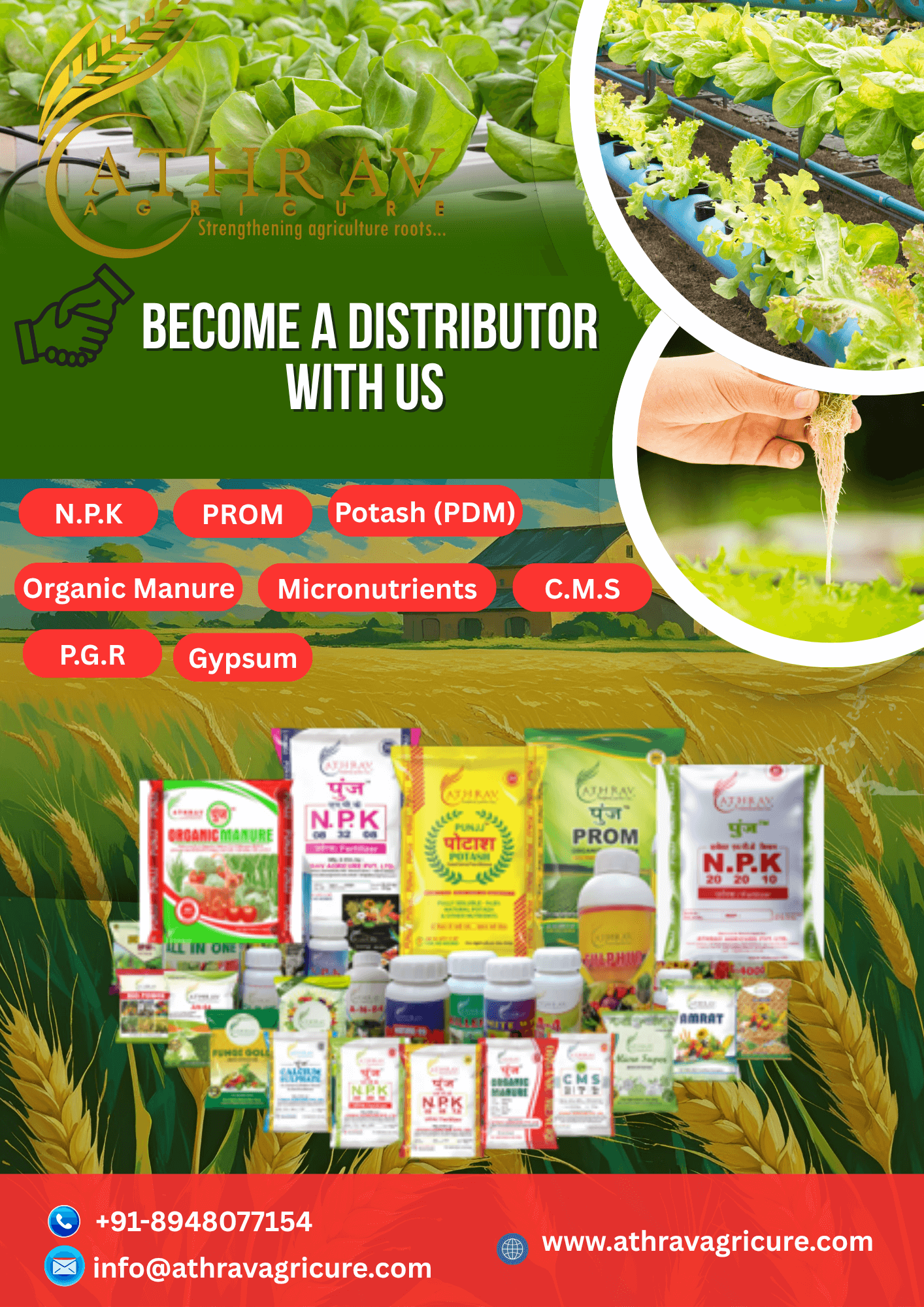 Distributor with green background 2